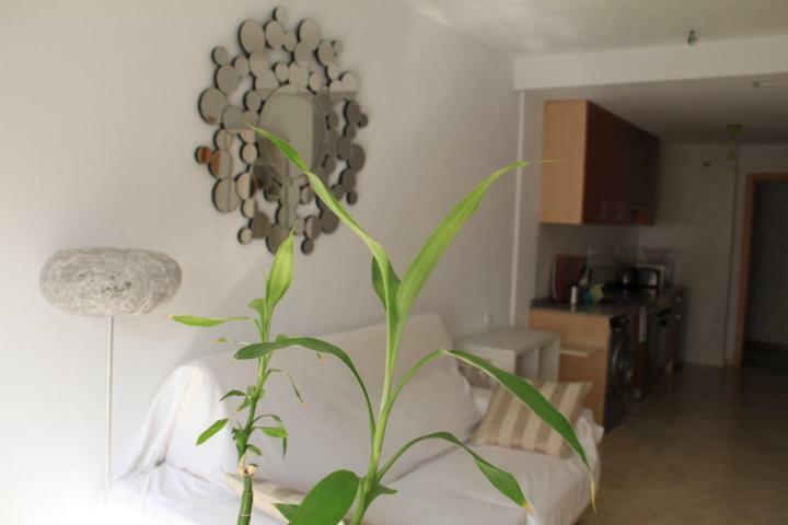 Sunny Apartments, Alicante Centre Ngoại thất bức ảnh