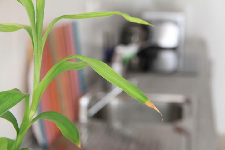 Sunny Apartments, Alicante Centre Ngoại thất bức ảnh